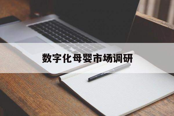 固原市数字化母婴市场调研(数字化母婴市场调研报告)